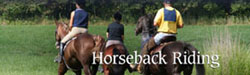 Horseback Riding/Wagon & Buggy Rides