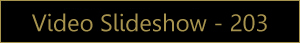 Views Video Slideshow 203