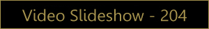 Views Video Slideshow 204